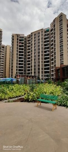 2 BHK Flat for rent in Dhanori, Pune - 985 Sqft