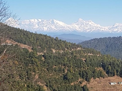 240 Sq.Yd. Plot in Mukteshwar Nainital