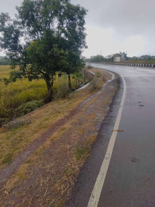 Agricultural Land 155 Bigha for Sale in Rampur Road, Moradabad