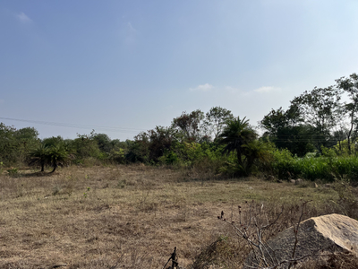 Agricultural Land 2 Acre for Sale in Shabad, Rangareddy