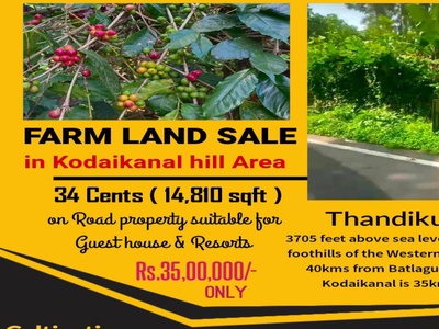 Agricultural Land 34 Cent for Sale in Thandikudi, Kodaikanal