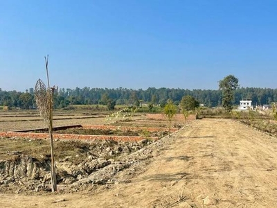 Ellen Farms Project Bhauwala