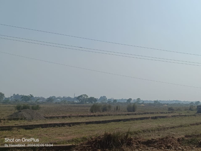 Residential Plot 1200 Sq.ft. for Sale in Jagatpur, Cuttack
