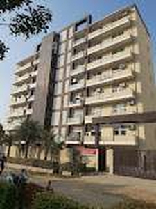 3 BHK Flat In Cghs Jawahar Apartment, Sector-56 Gurgaon for Rent In Jawahar Apartments, Gh 54, Sector 56, Gurgaon