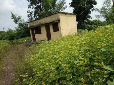 Agricultural Land 14 Acre for Sale in Karanja Ghadge, Wardha