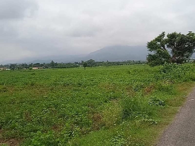 Agricultural Land 1500 Sq. Yards for Sale in Sardhana Road, Meerut