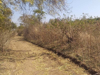 Agricultural Land 2 Acre for Sale in Mohapa, Nagpur
