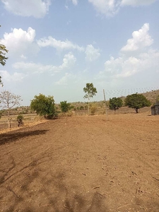 Agricultural Land 4 Acre for Sale in Kondhali, Nagpur
