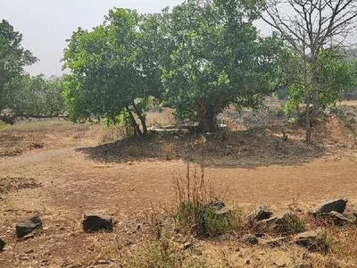 Agricultural Land 5 Guntha for Sale in Wada, Palghar