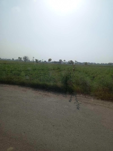 Agricultural Land 5 Acre for Sale in Mandkola, Palwal