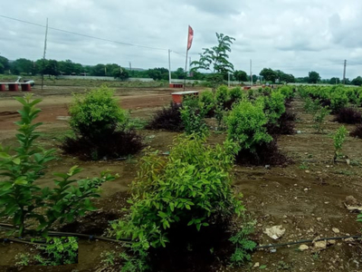 SSL Tummalapalli in Sadashivpet, Hyderabad