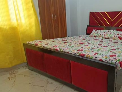 1 BHK Flat for rent in Saket, New Delhi - 600 Sqft