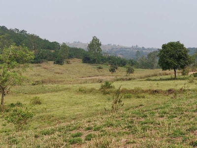 Agricultural Land 9 Acre for Rent in Karveer, Kolhapur