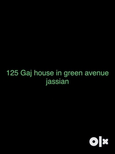 125 Gaj Kothi in green avenue jassian