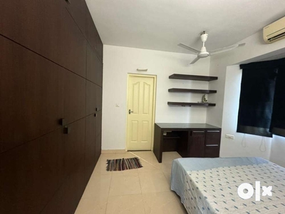 1800 sq ft 3 BHK fully Furnished luxurious Apartment for rent