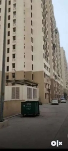 1BHK FLATS AVAILABLE FOR RENT