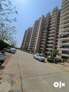2bhk &1bhk Flat Available For Rent
