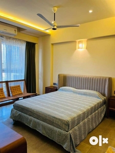 Fully furnished 3bhk flat for rent