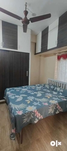New one bhk rent in Ameerpet