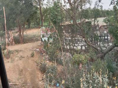 Agricultural Land 8 Acre for Sale in Sector 95A Gurgaon
