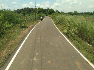 Agricultural Land 1 Acre for Sale in Ammapettai, Thanjavur
