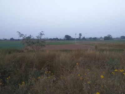 Agricultural Land 14 Acre for Sale in Chandigarh Road, Rajpura