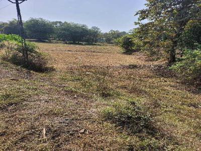 Industrial Land 15 Ares for Sale in