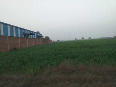 Industrial Land 18 Bigha for Sale in Shambhoo Khurd, Rajpura