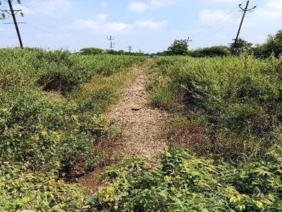 Agricultural Land 2 Acre for Sale in Ashti, Wardha