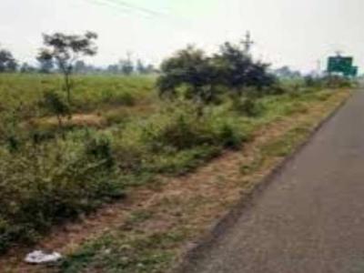 Agricultural Land 2 Acre for Sale in Pardi, Nagpur