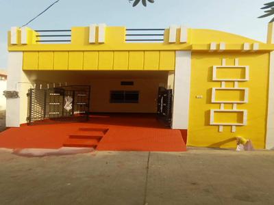 2 BHK House 940 Sq.ft. for Sale in Changurabhata, Raipur