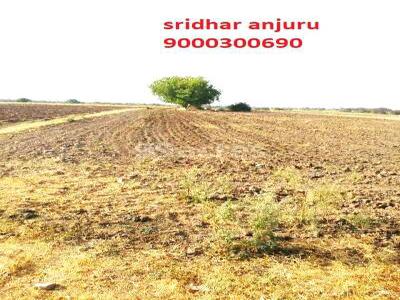 Agricultural Land 2000 Acre for Sale in Naidupeta, Nellore