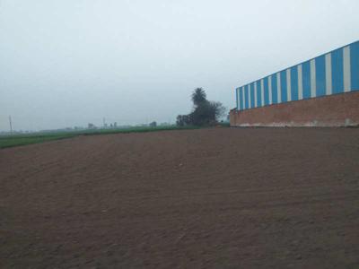 Commercial Land 21 Bigha for Sale in