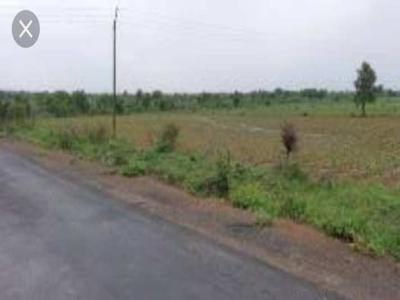 Agricultural Land 28 Acre for Sale in Kuhi, Nagpur