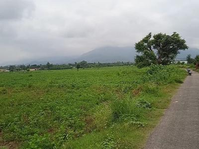 Agricultural Land 3 Acre for Sale in Ganjbar, Panipat