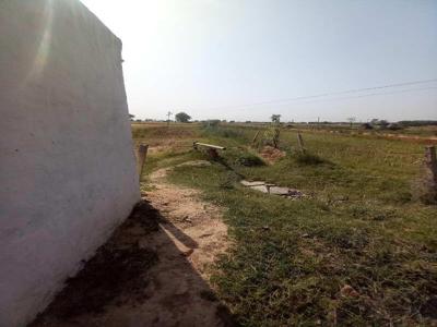 Agricultural Land 4 Acre for Sale in Hassanpur, Palwal