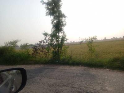 Agricultural Land 4 Acre for Sale in Palwal, Faridabad