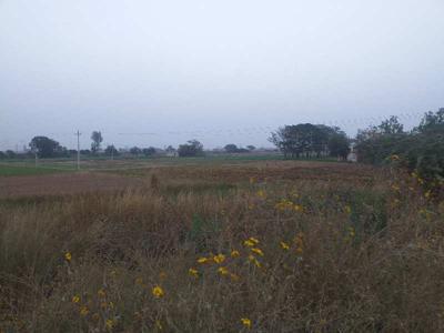 Agricultural Land 4 Bigha for Sale in Nh 44, Rajpura