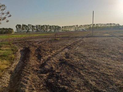 Commercial Land 4 Bigha for Sale in Nh 44, Rajpura