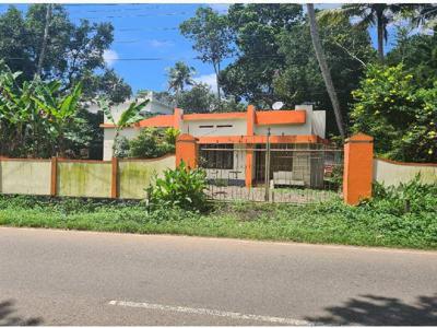40 Cent Residential Plot for Sale in Thengana, Kottayam
