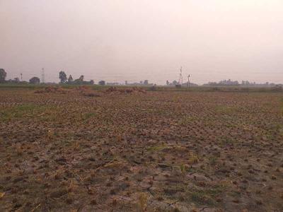 Warehouse 50 Acre for Sale in NH 1, Rajpura