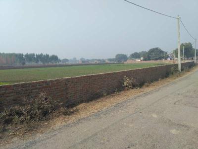 Agricultural Land 6 Bigha for Sale in Pukhrayan, Kanpur Dehat