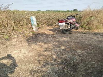 Agricultural Land 7 Acre for Sale in Narkhed, Nagpur