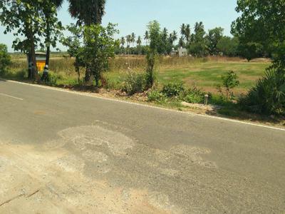 Agricultural Land 95 Acre for Sale in Thiruvaiyaru, Thanjavur