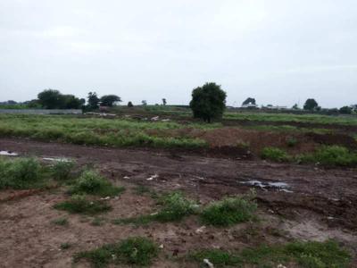 Commercial Land 1 Acre for Sale in Dholera, Ahmedabad