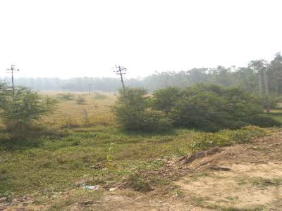 Warehouse 38 Acre for Sale in NH 1, Rajpura