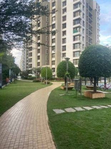 1206 sq ft 2 BHK 2T West facing Apartment for sale at Rs 1.02 crore in Malpani Greens 7th floor in Wakad, Pune
