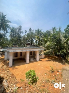 17 cent plot and house for sale in koduvally kozhikkode