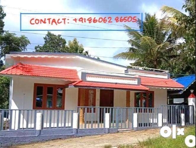 House and Property for sale near Kattappana