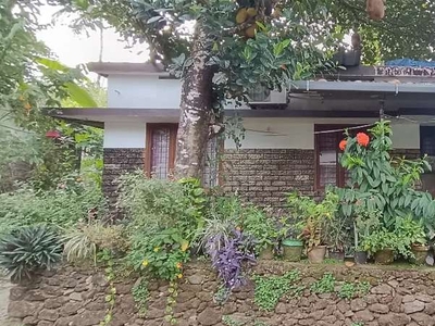 Low budget House for sale at Boothathankettu